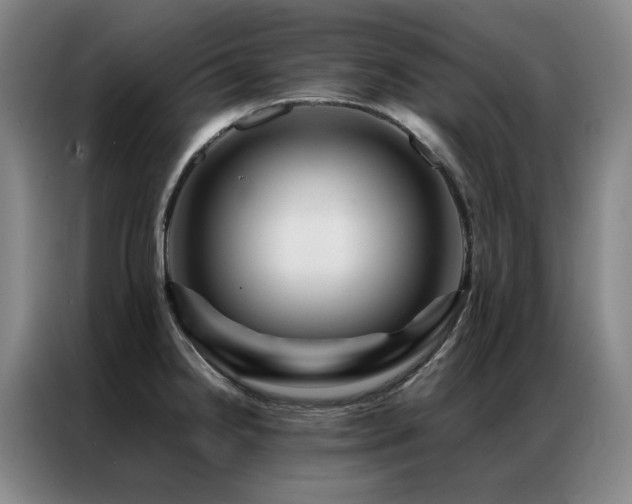 X0000087371238200704201222
