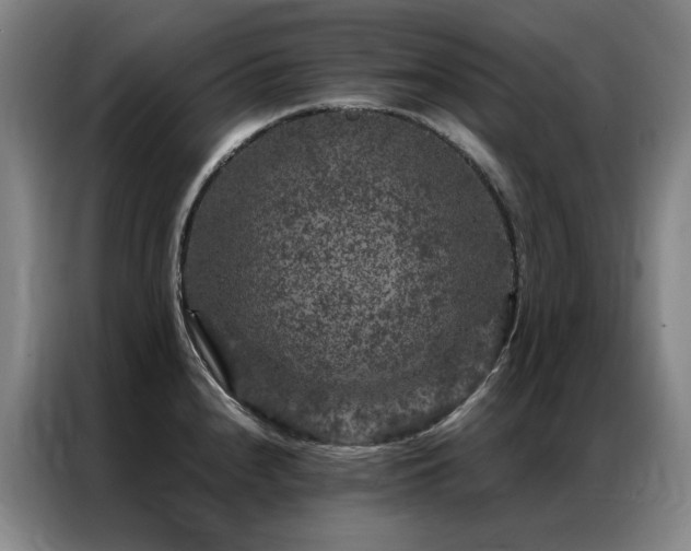 X0000087371240200704201222