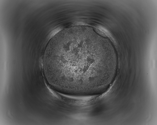 X0000087371241200704201222
