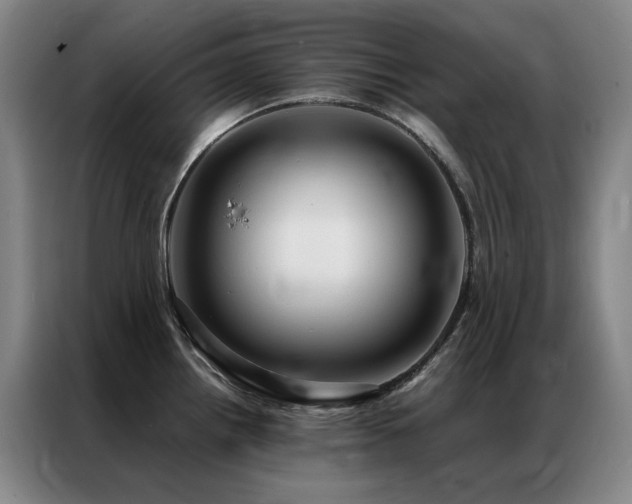 X0000087371242200704201222