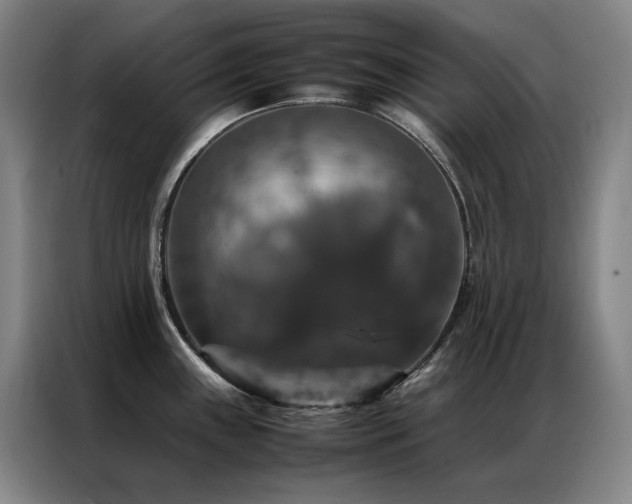 X0000087371243200704201222