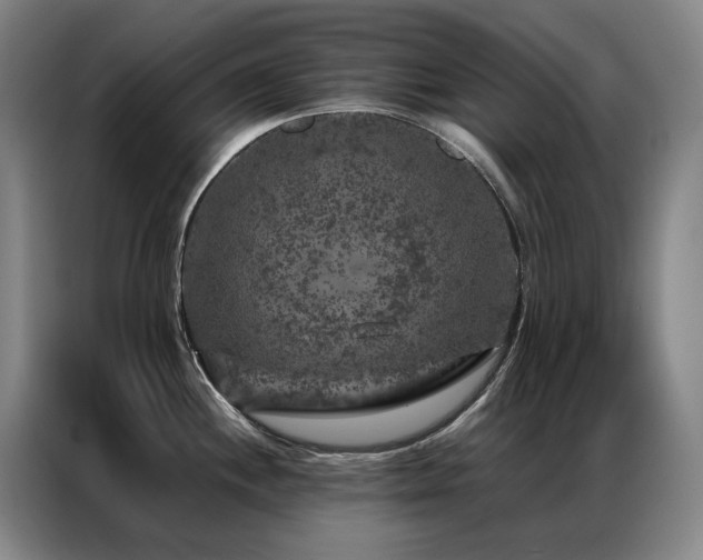 X0000087371244200704201222
