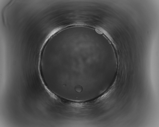 X0000087371245200704201222