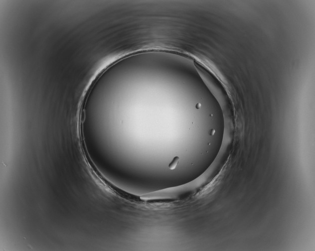 X0000087371246200704201222