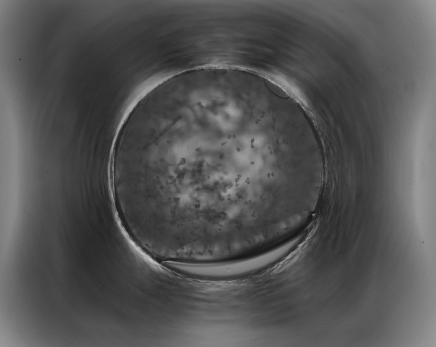 X0000087371247200704201222