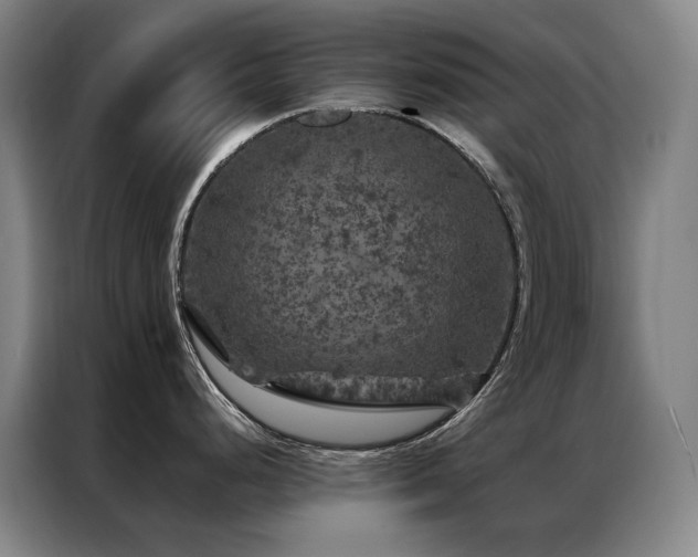 X0000087371248200704201222