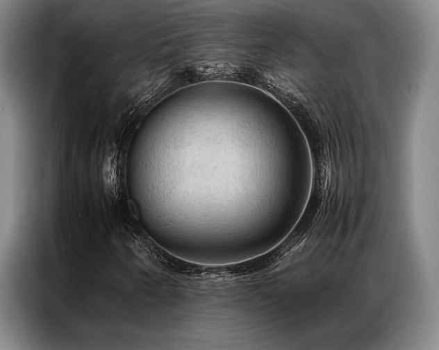 X0000087371250200704201222