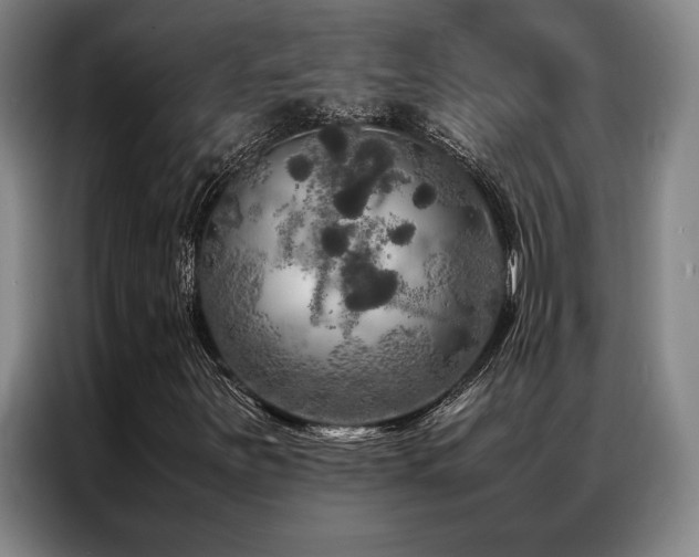 X0000087371251200704201222