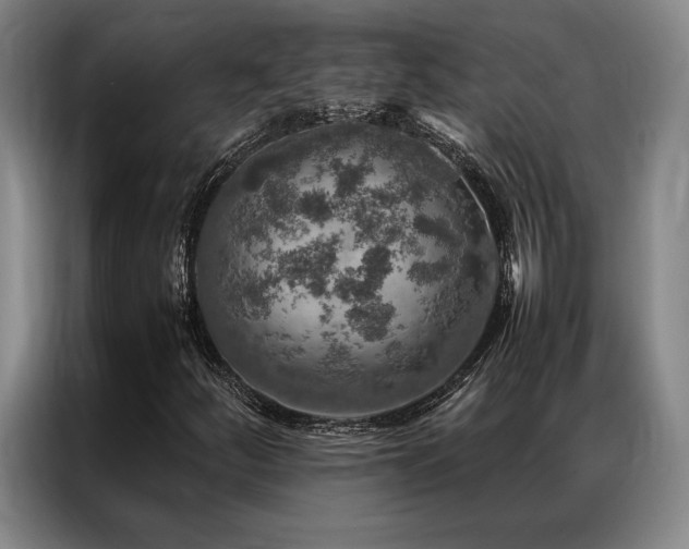X0000087371252200704201222