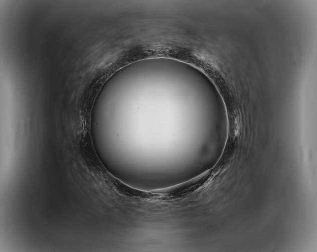 X0000087371253200704201222