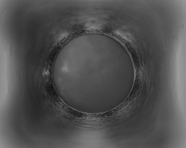 X0000087371254200704201222