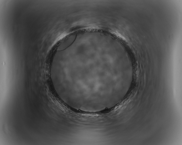 X0000087371255200704201221