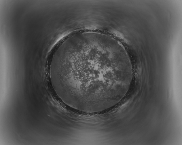 X0000087371256200704201221