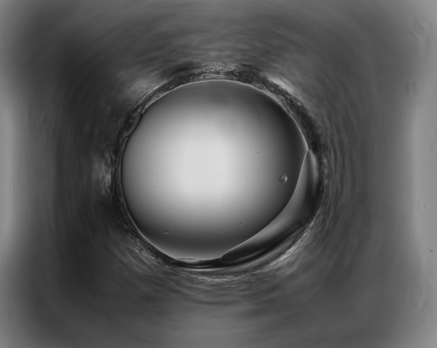 X0000087371257200704201221