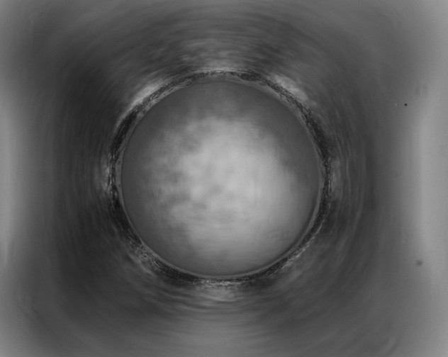 X0000087371258200704201221