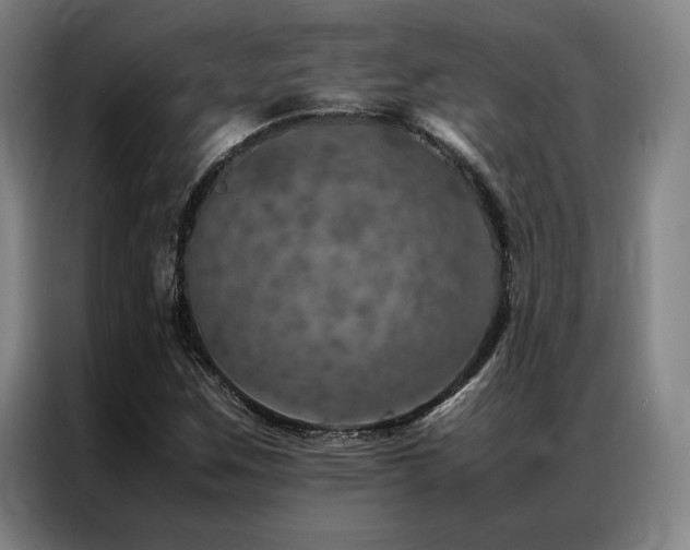 X0000087371259200704201221