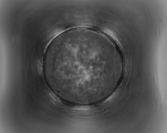 X0000087371260200704201221