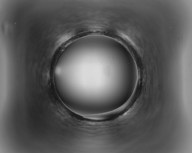 X0000087371261200704201221