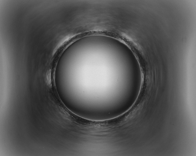 X0000087371262200704201221
