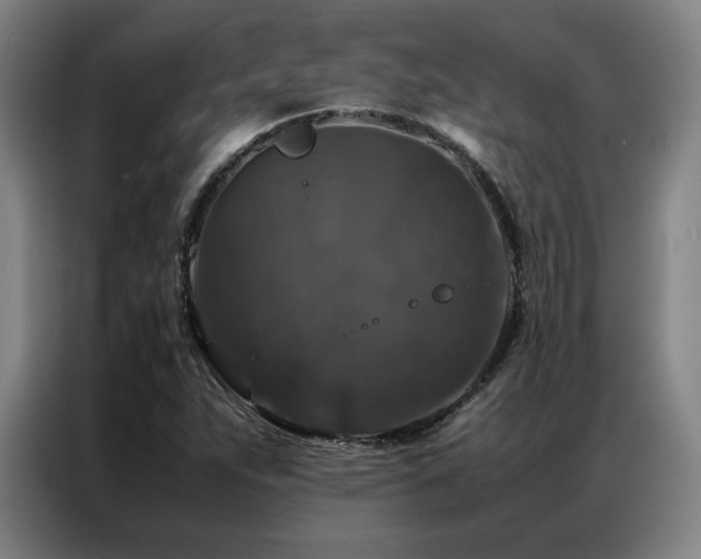 X0000087371263200704201221