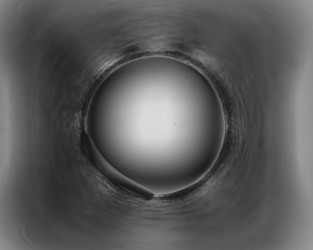 X0000087371265200704201221