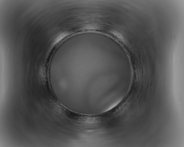 X0000087371266200704201221