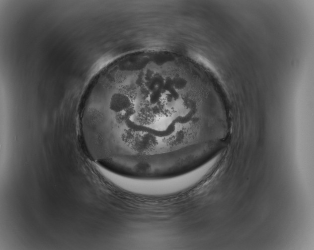 X0000087371267200704201221