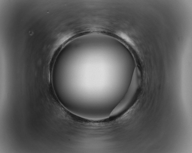 X0000087371269200704201221
