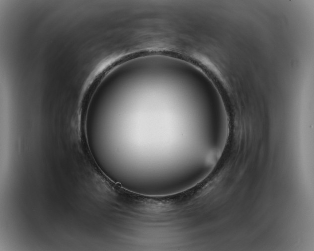 X0000087371270200704201221