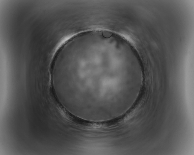 X0000087371271200704201221