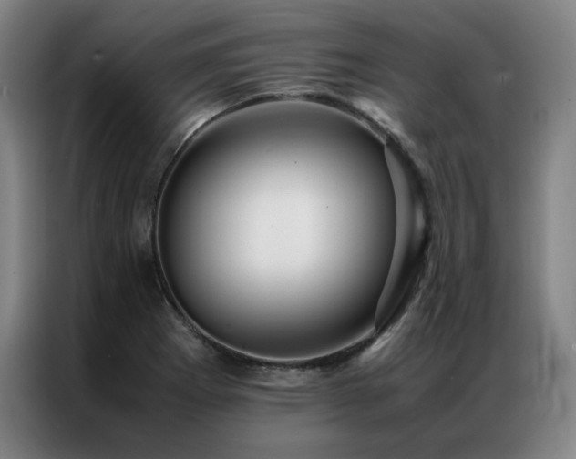 X0000087371273200704201221