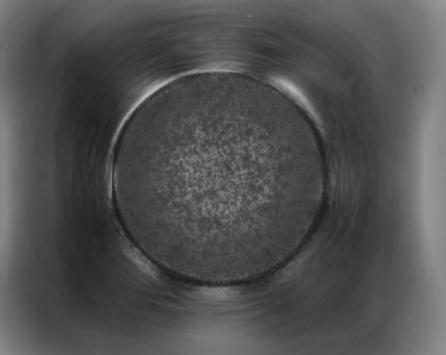 X0000087371276200704201221
