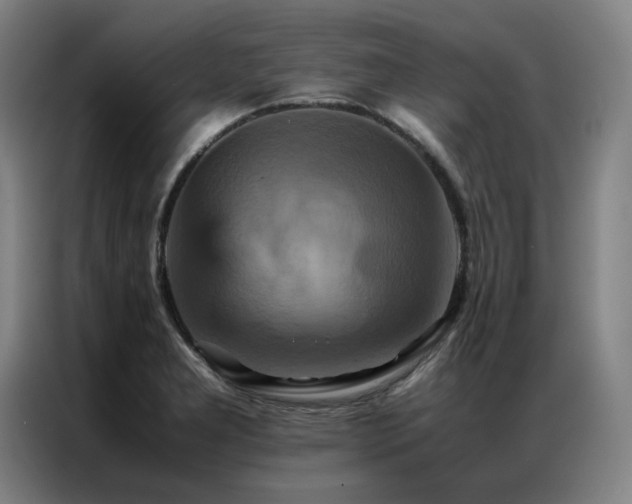 X0000087371277200704201221