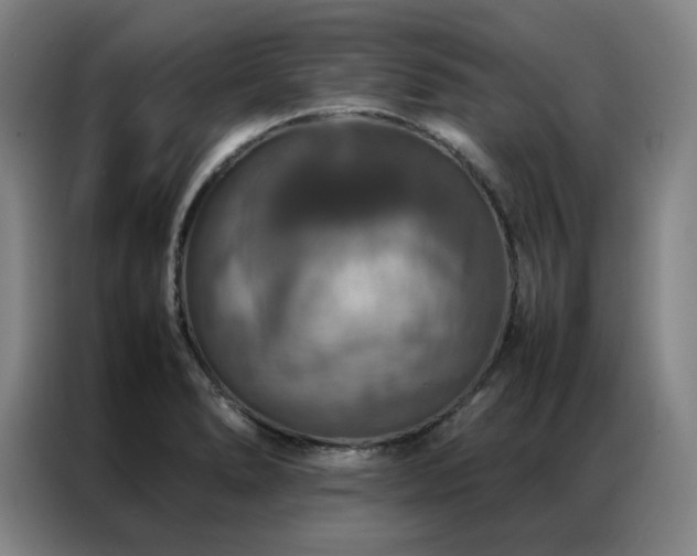 X0000087371278200704201221