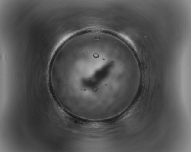 X0000087371279200704201221