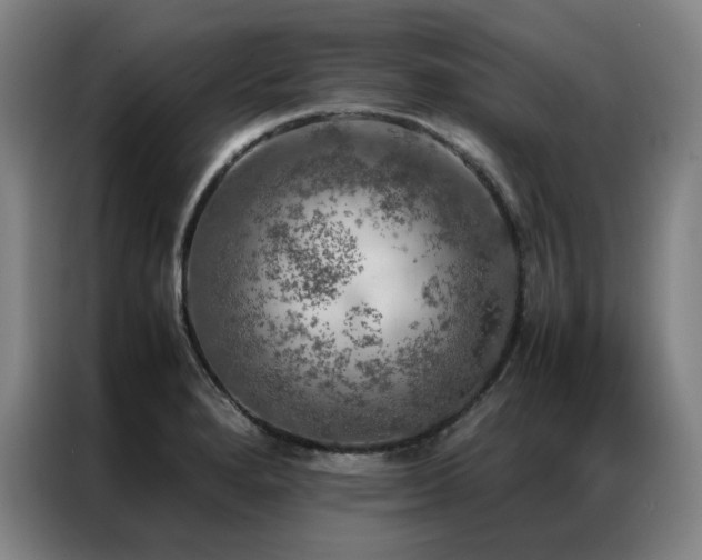 X0000087371280200704201221