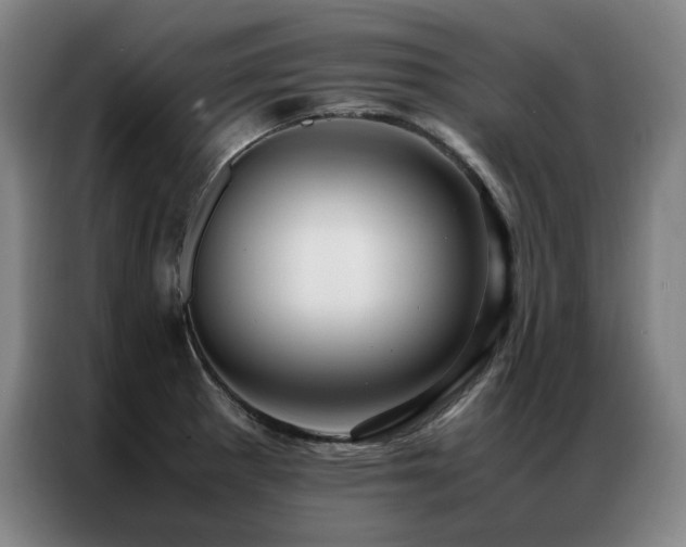 X0000087371281200704201221