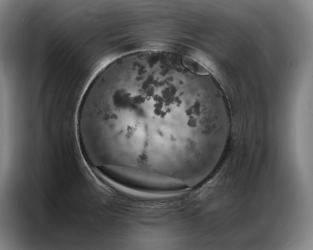 X0000087371283200704201221