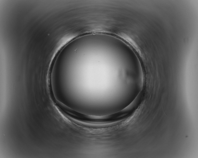 X0000087371285200704201221