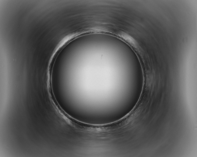 X0000087371286200704201221