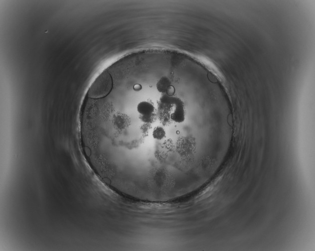 X0000087371287200704201221
