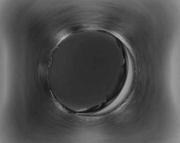 X0000087371289200704201221