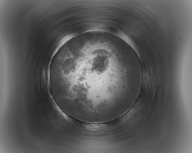 X0000087371290200704201221