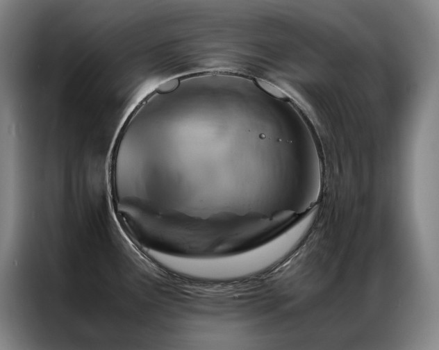 X0000087371291200704201221