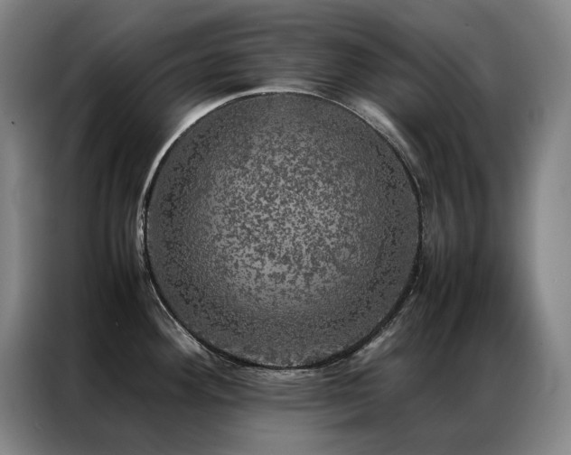 X0000087371292200704201221