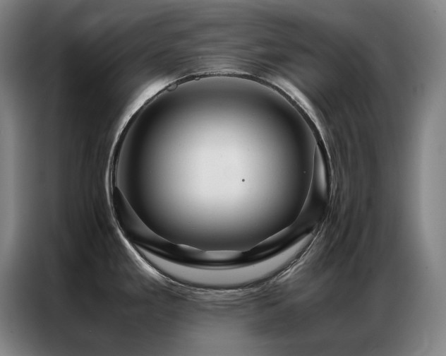 X0000087371293200704201221