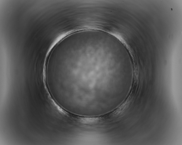X0000087371294200704201221