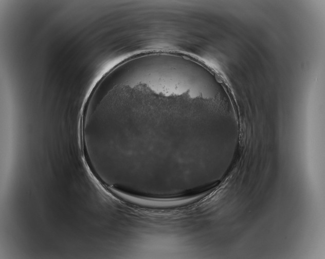 X0000087371295200704201221