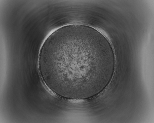 X0000087371296200704201221