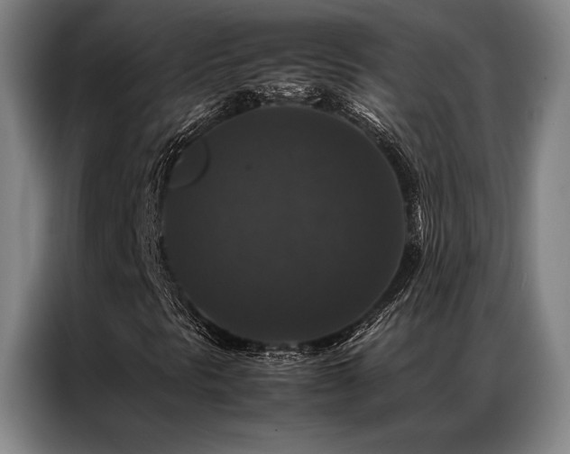 X0000087371297200704201220